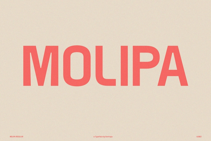 Molipa Sans Font Font Download