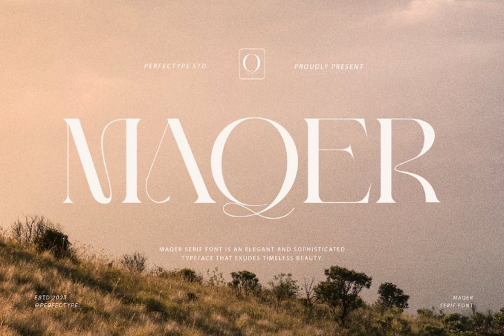 Maqer Elegant Serif Font Typeface Font Download