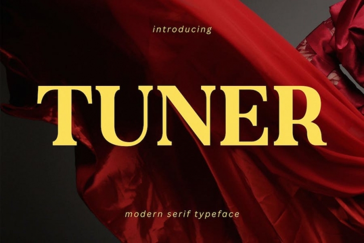 TUNER - MODERN SERIF TYPEFACE Font Download