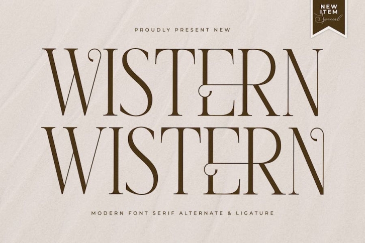 Wistern Modern Serif Font Font Download