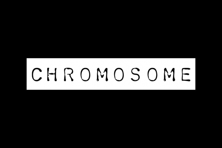 Chromosome Font Font Download