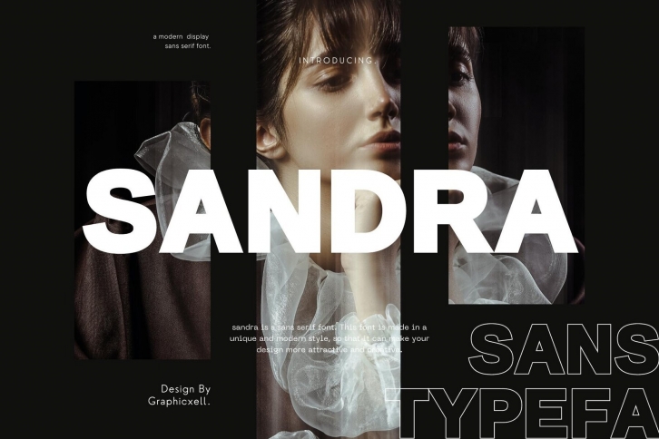 Sandra Font Font Download