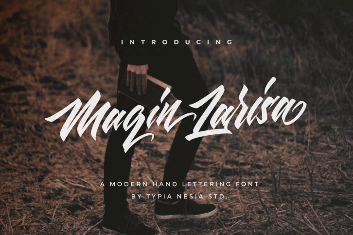 Maqin Larisa Font Font Download