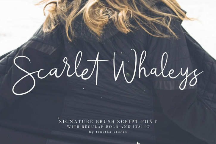 Scarlet Whaleys Font Font Download