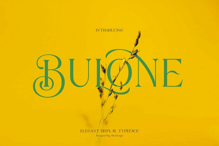 Bulone Font Font Download