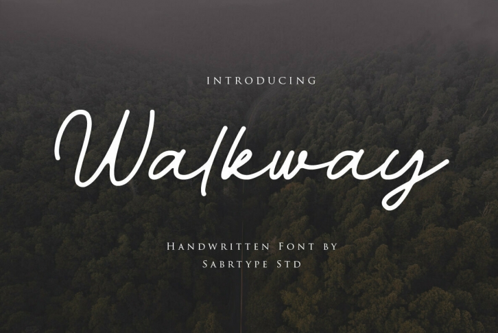 Walkway Font Font Download