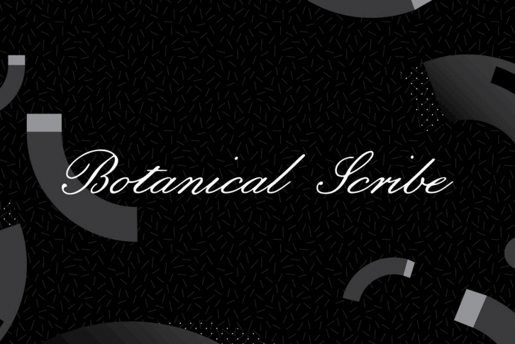 Botanical Scribe Font Font Download