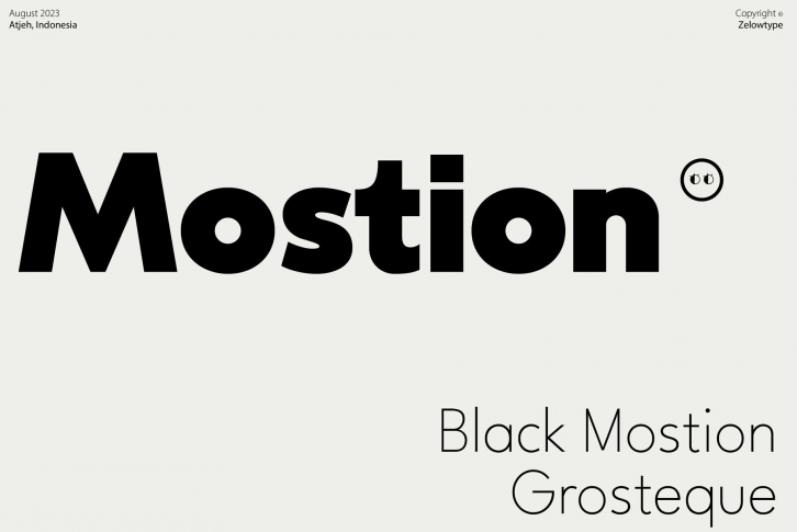 ZT Mostion Font Font Download