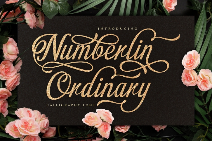 Numberline Ordinary Font Font Download