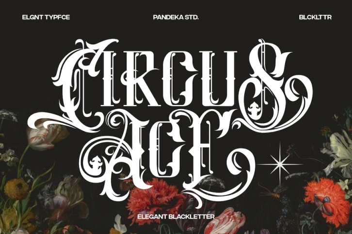 Circus Ace - Modern Elegant Blackletter Font Download