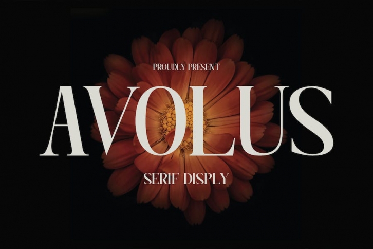 Avolus Display - A Modern Serif Font Font Download