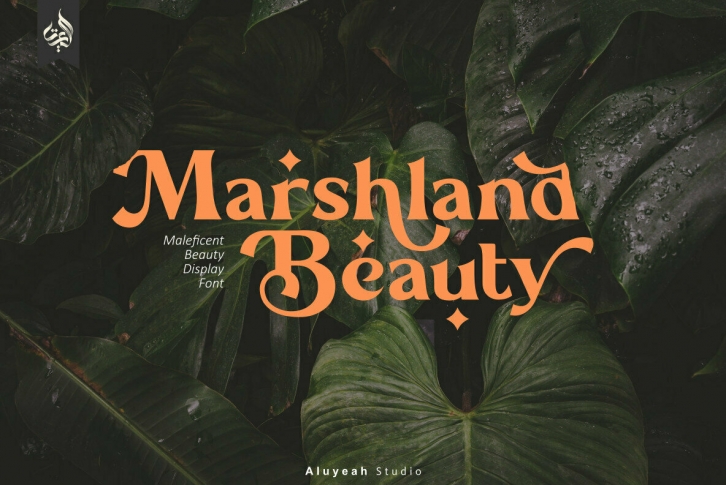 Marshland Beauty Font Font Download