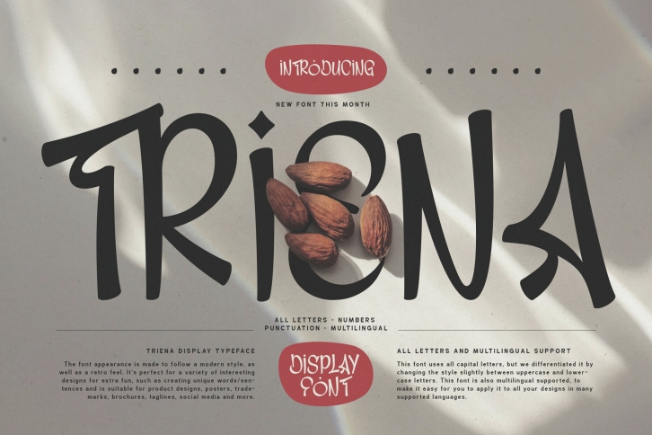 Triena Font Font Download