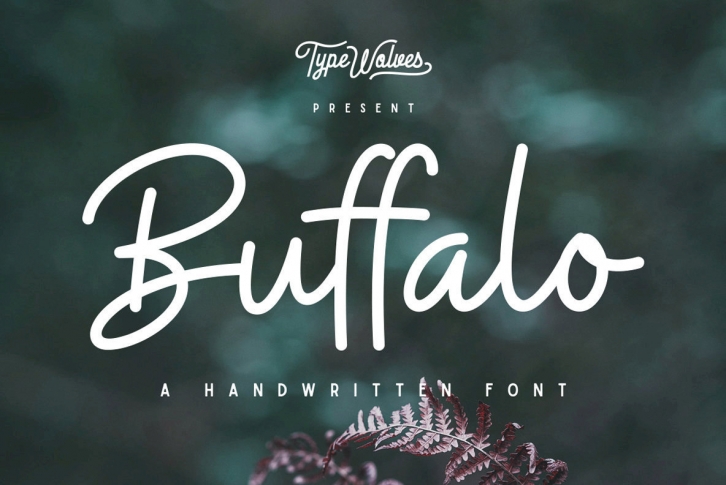 Buffalo Font Font Download