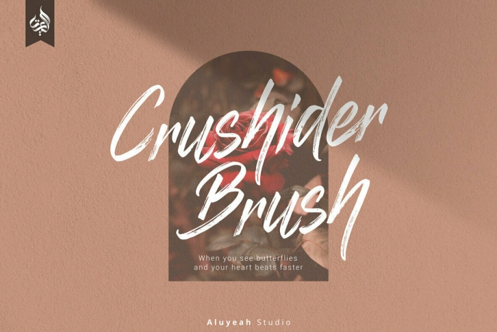 Crushider Font Font Download