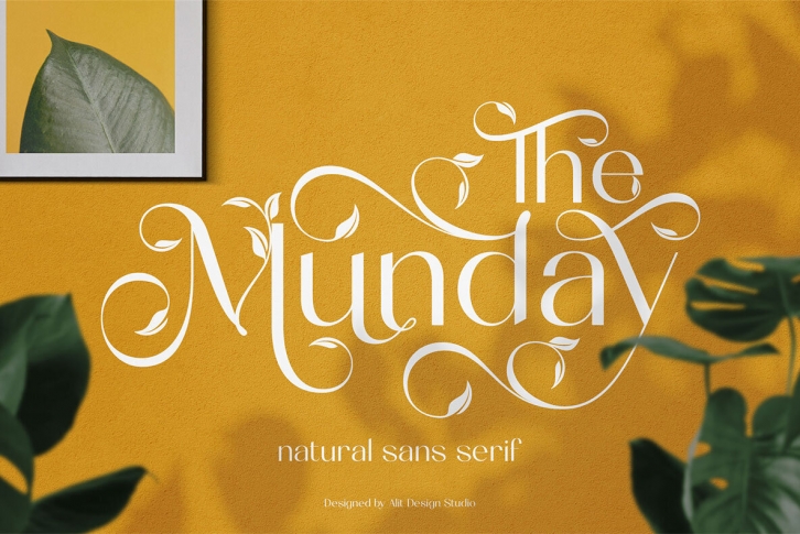 The Munday Font Font Download
