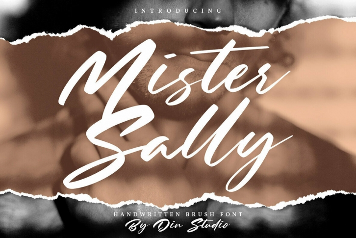 Mister Sally Font Font Download