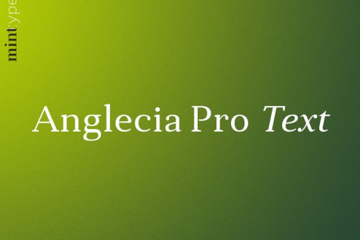 Anglecia Pro Text Font Font Download