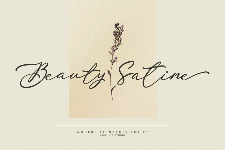 Beauty Satine Font Font Download