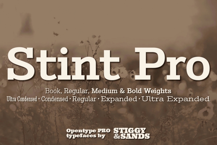 Stint Pro Font Font Download