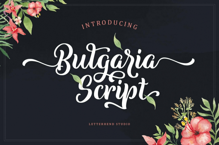 Bulgaria Script Font Font Download