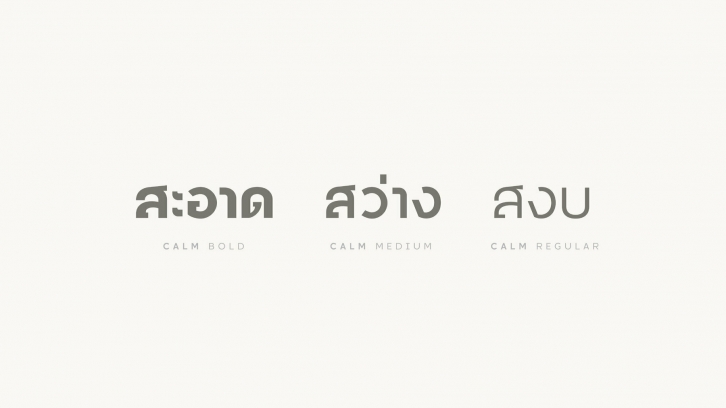 CALM Font Font Download