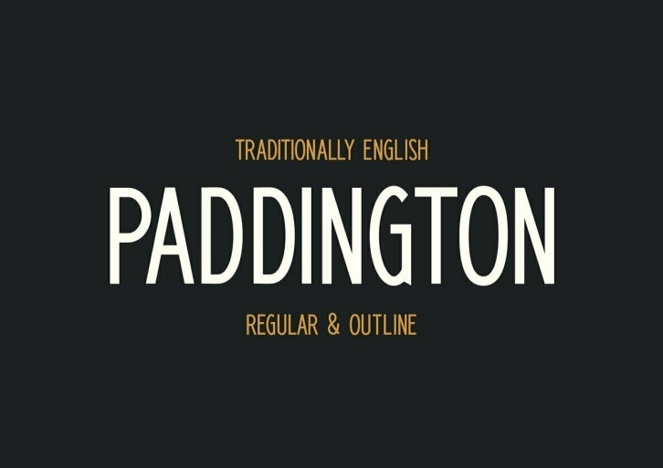 Paddington Font Font Download