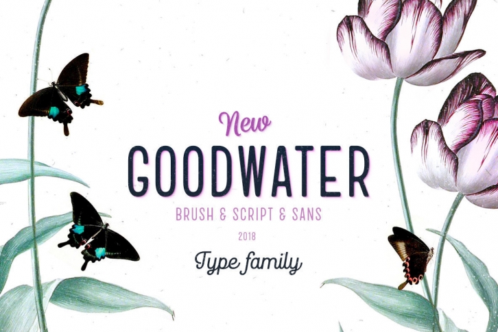 Goodwater Font Font Download