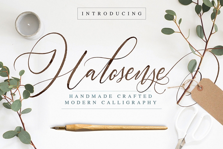 Halosense Script Font Font Download