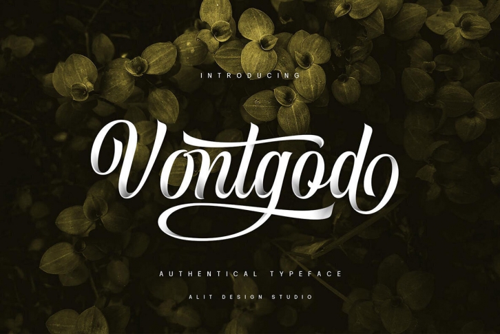 Vontgod Font Font Download