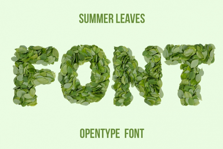 Summer Leaves SVG Font Font Download