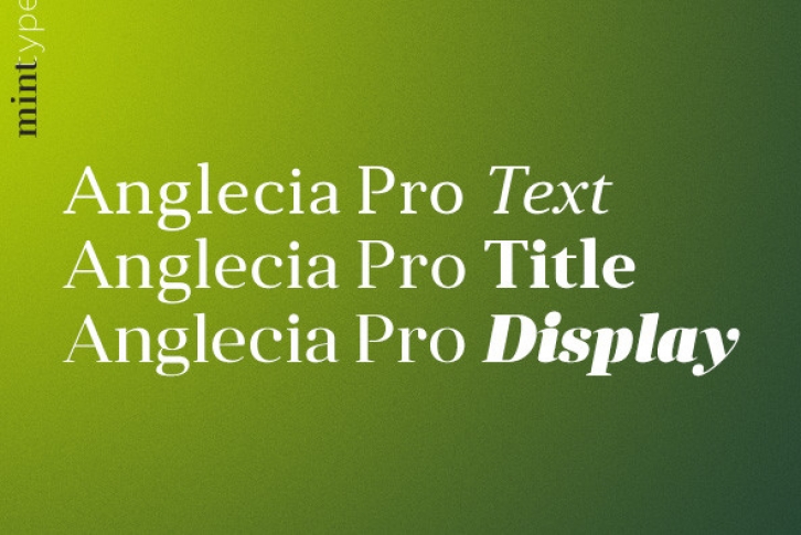 Anglecia Pro Font Font Download