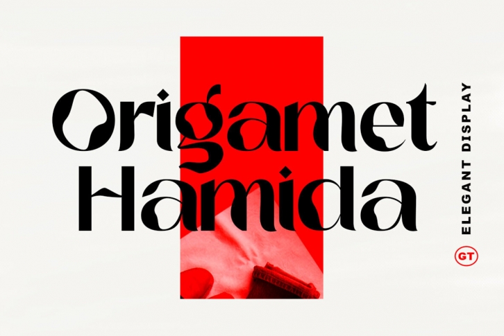 Origament Hamida Font Font Download