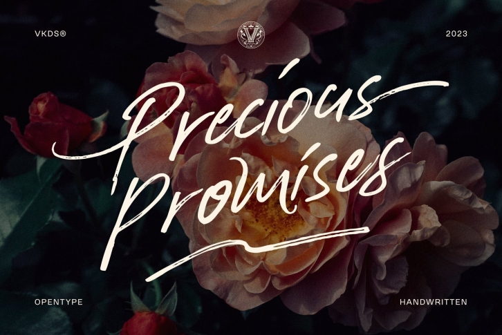 Precious Promises Font Font Download