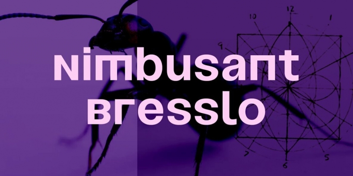 Nimbusant Bresslo Font Font Download