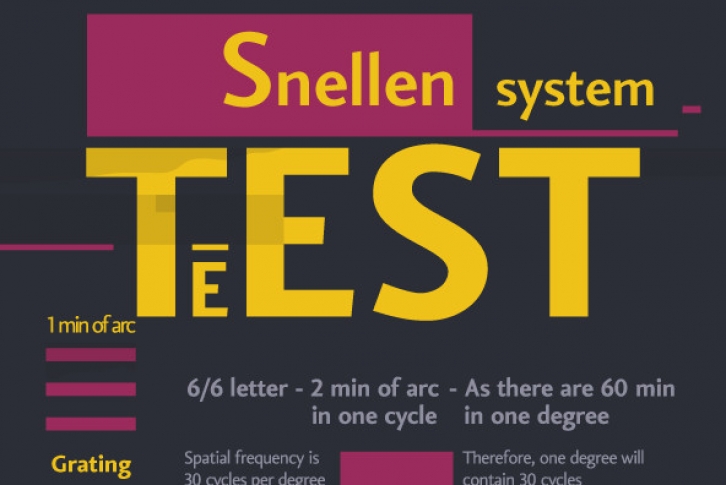 Vekta Sans Family Font Font Download