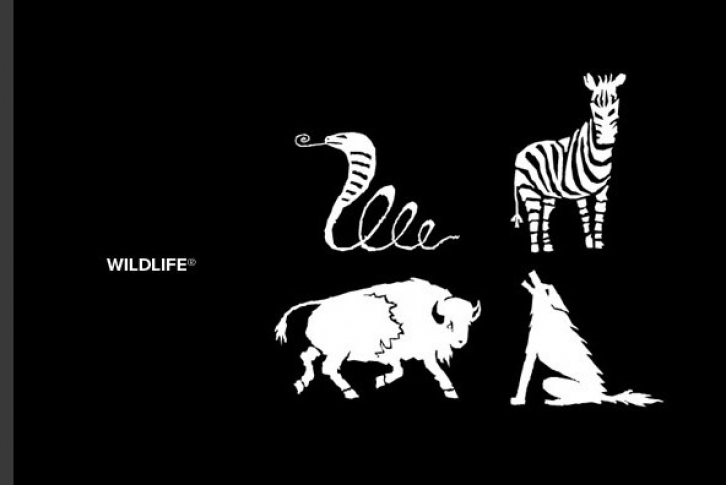 Design Wildlife Font Download