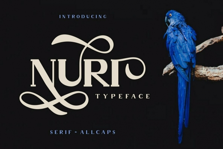 Nuri Font Font Download