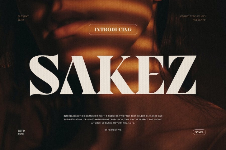Sakez Elegant Serif Font Typeface Font Download