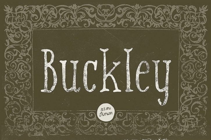 Buckley Serif Font Font Download