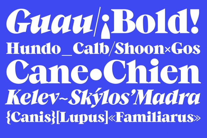 GuauBold Font Font Download