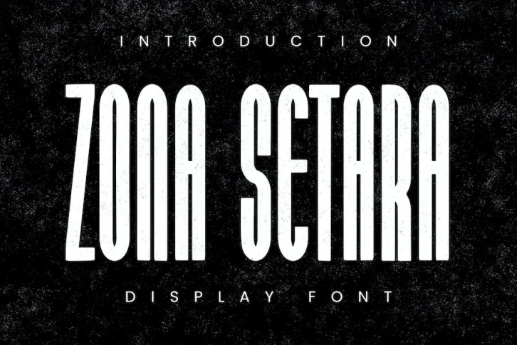 ZONA SETARA - Display Font Font Download