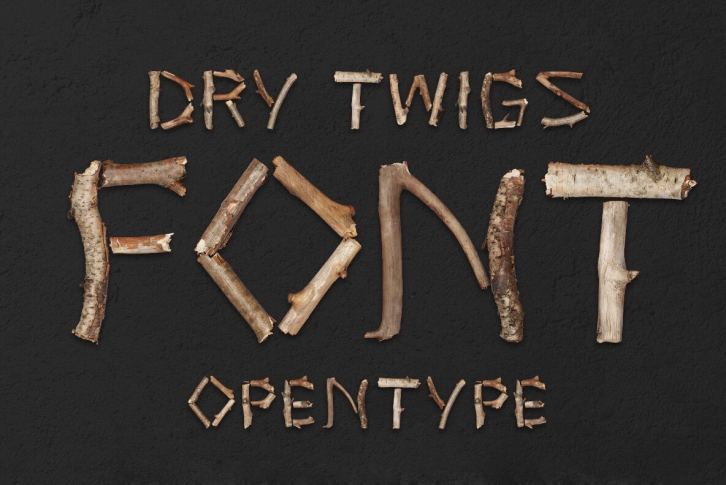 Dry Twigs SVG Font Font Download