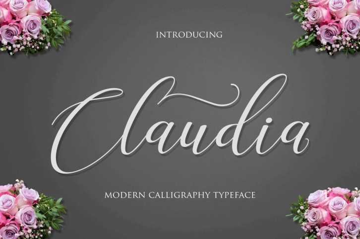 Claudia Script Font Font Download