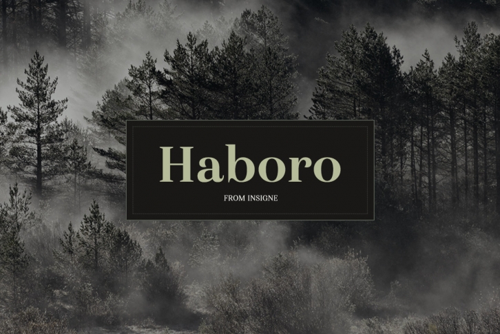 Haboro Font Font Download