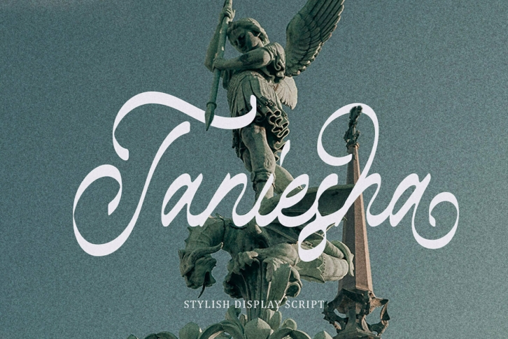 Taniesha Font Font Download