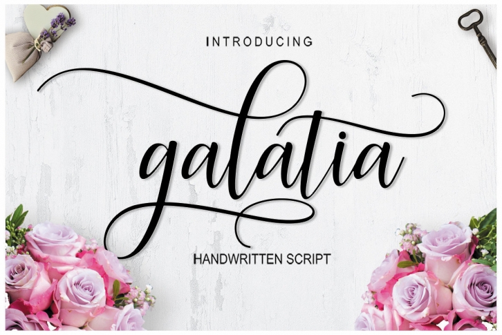 Galatia Script Font Font Download