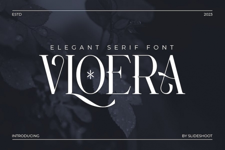 Vloera Elegant Serif Font Font Download