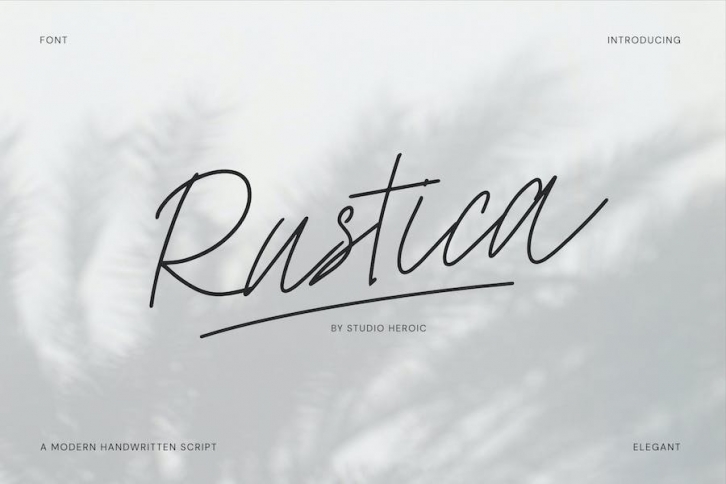 Rustica - Elegant Script Font Font Download