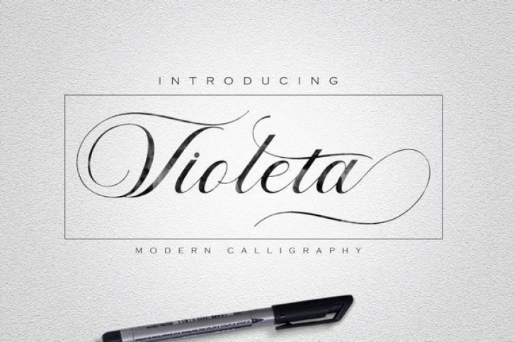 Violeta Font Font Download